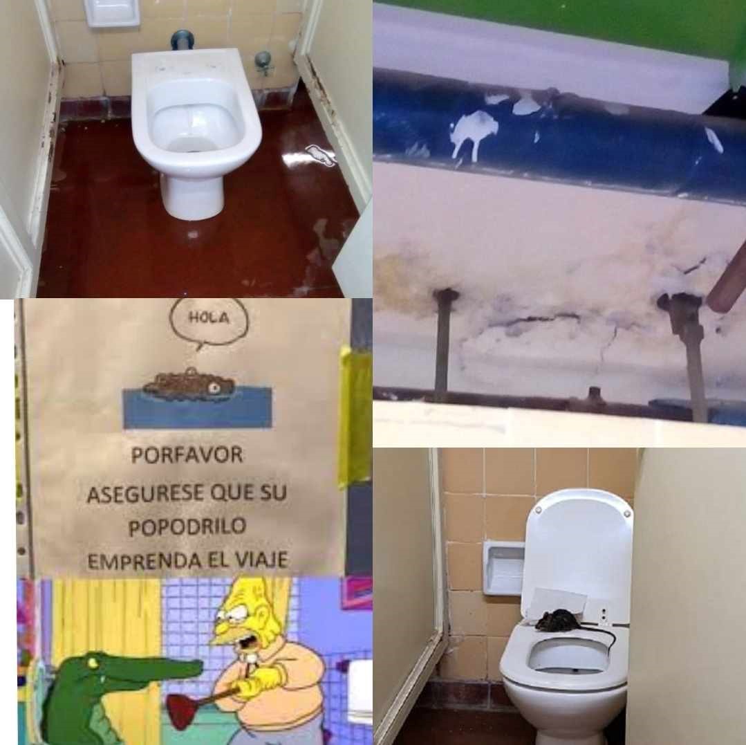 xcvbn.jpg