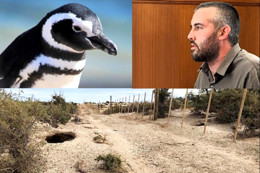 Masacre de pingüinos en Punta Tombo. Ricardo La Regina, acusado del delito. 
