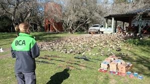 caza furtiva en buenos aires 